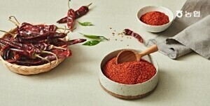 [라이브특가]정선 2025년 햇고춧가루 500g