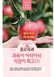 [100세트 한정기획]정선농협 홍로사과