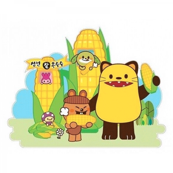 2026정선 찰옥수수 판매